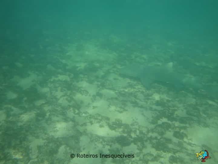 Baia do Sueste - Fernando de Noronha - Brasil