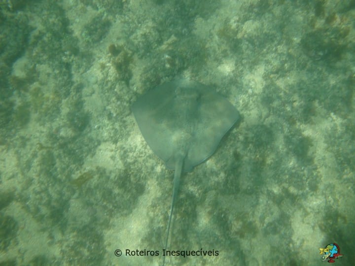 Baia do Sueste - Fernando de Noronha - Brasil