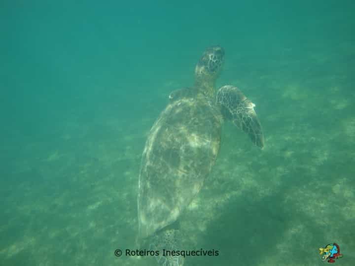 Baia do Sueste - Fernando de Noronha - Brasil