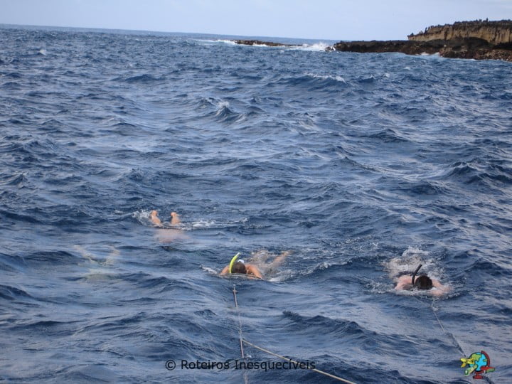 Passeio de Barco - Fernando de Noronha - Brasil