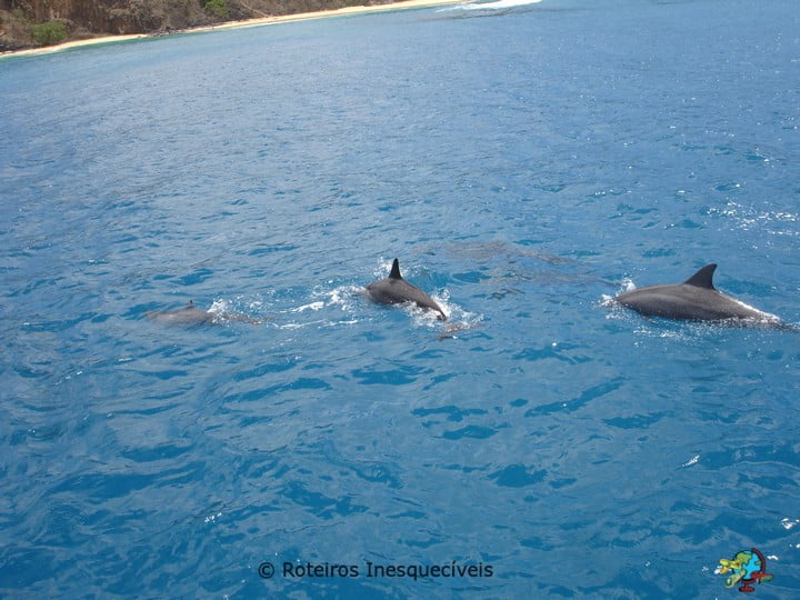 Passeio de Barco - Fernando de Noronha - Brasil