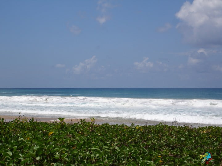 Praia da Conceicao - Fernando de Noronha - Brasil