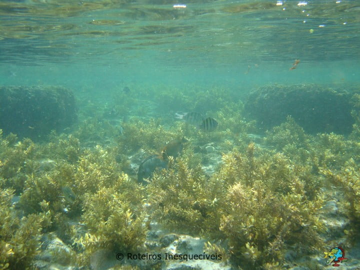 Praia do Atalaia - Fernando de Noronha - Brasil