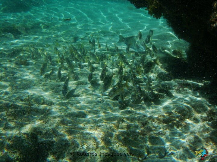 Praia do Atalaia - Fernando de Noronha - Brasil