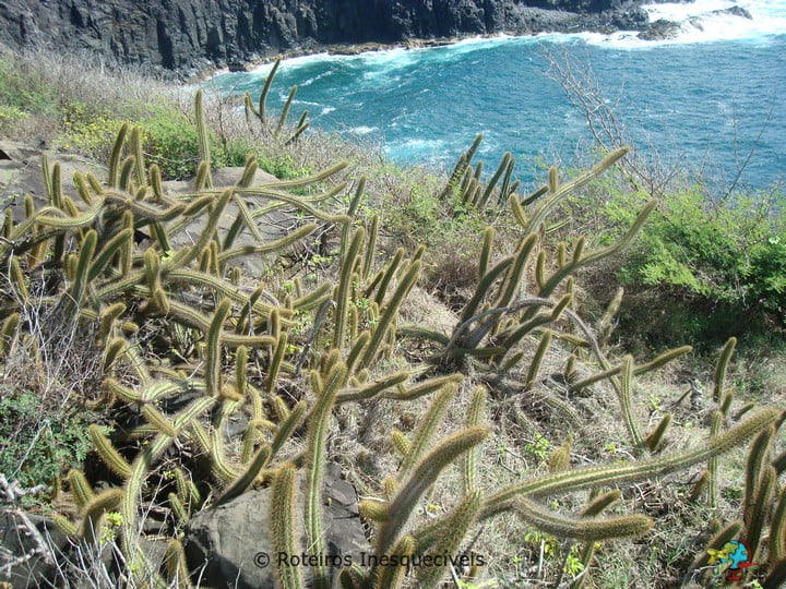 Trilha Longa do Atalaia - Fernando de Noronha - Brasil