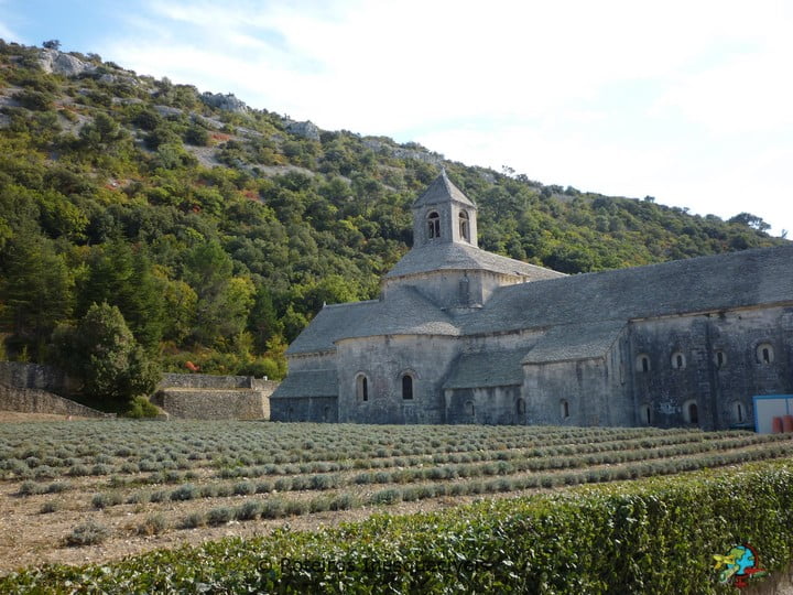 Abadia de Senanque - Provence - Franca