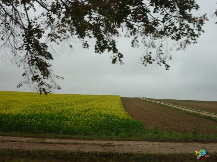 Chalon en Champagne - Franca