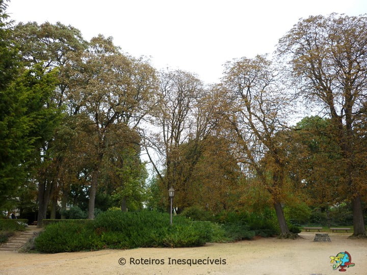 Basilica St Remi - Reims - Franca